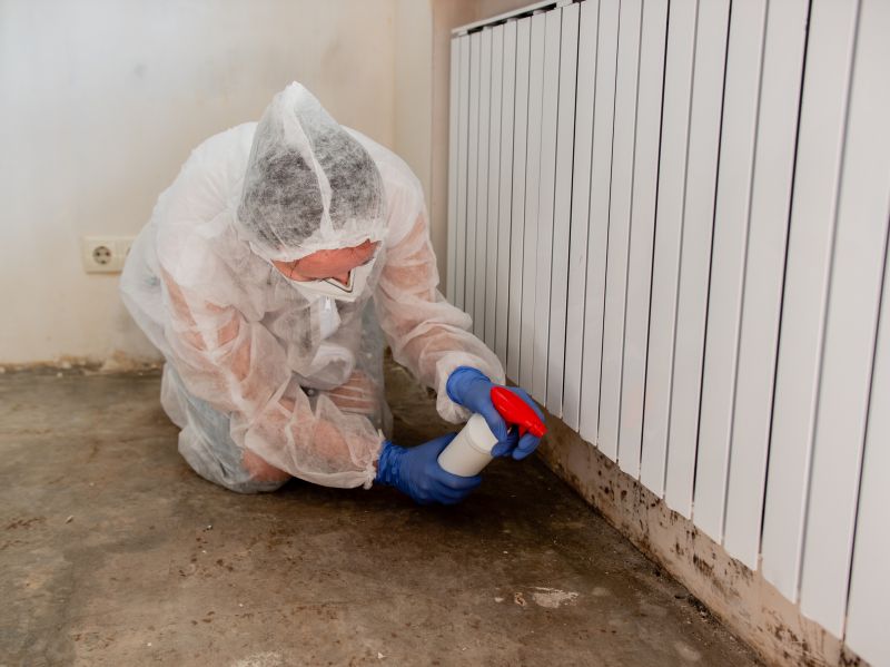 Mold Treatment Service in Fort Worth, TX