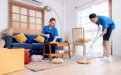 Couch Cleaning