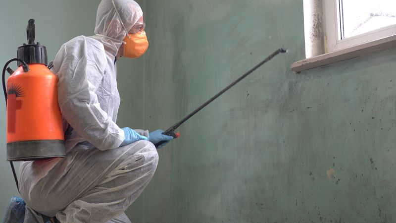 Black Mold Removal in Fort Lauderdale, FL