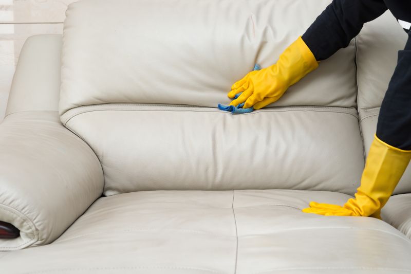 Couch Cleaning