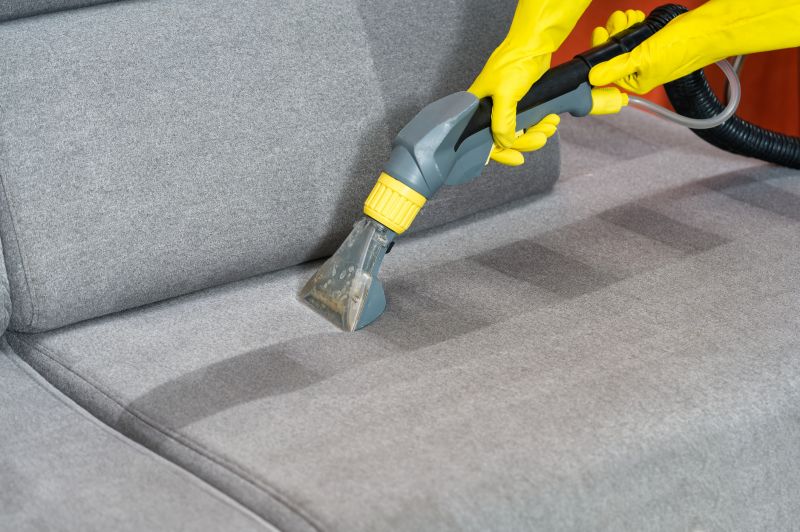 Couch Cleaning