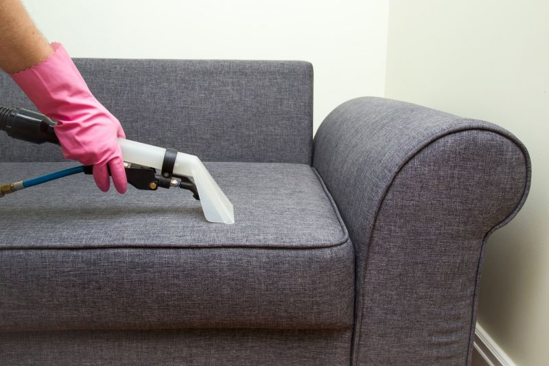 Couch Cleaning