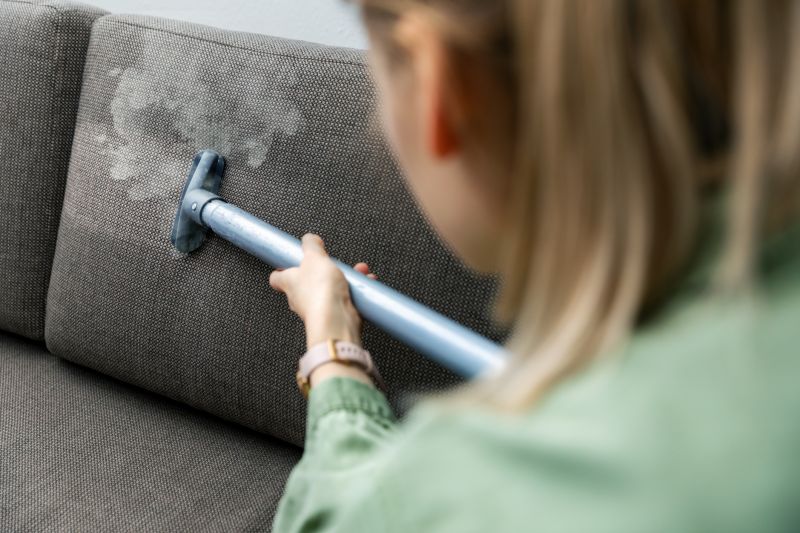 Couch Cleaning