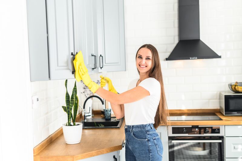 Kitchen Cleaning in Frisco, TX