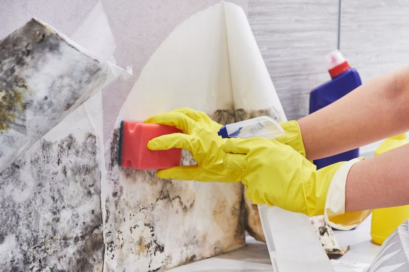 Mold Cleanup Service in Bergen County, NJ