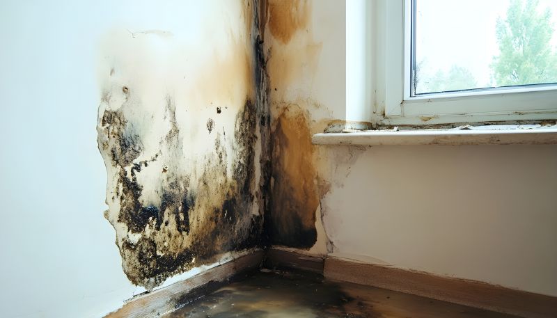 Mold Treatment Service in Jupiter, FL