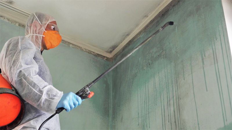 Mold Treatment Service in West Palm Beach, FL