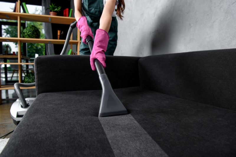 Products For Couch Cleanings in use