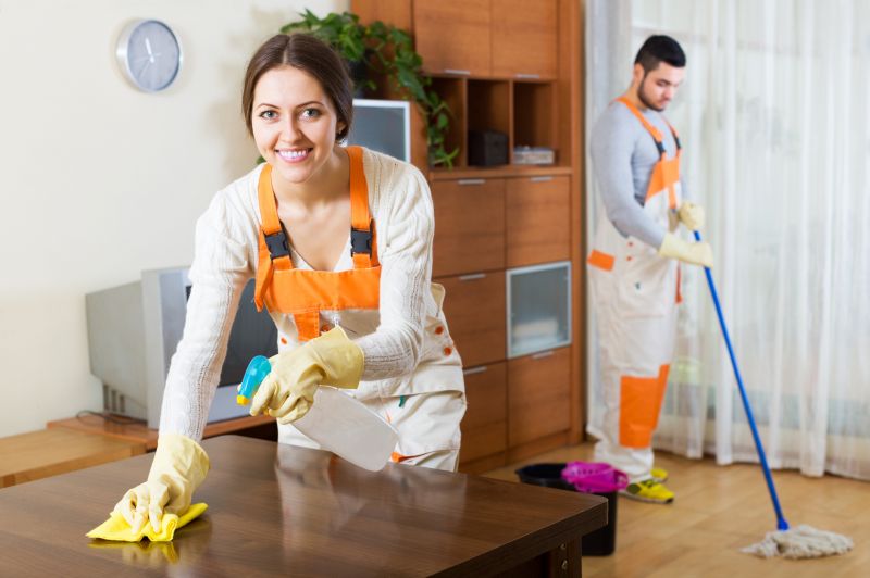 Reo Property Cleaning in Renton, WA