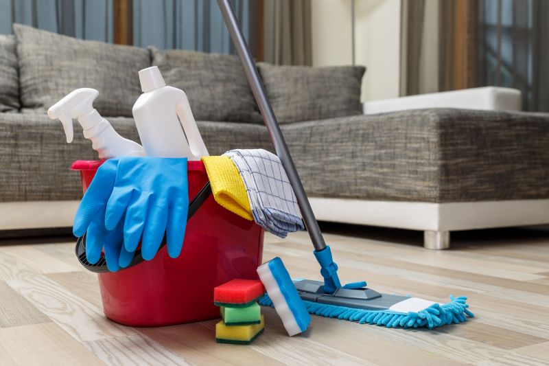 Reo Property Cleaning in Redmond, WA
