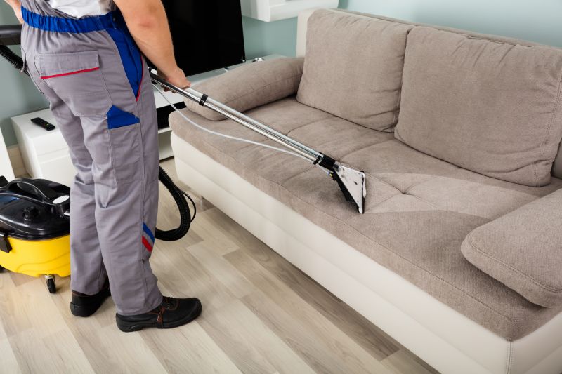Regular couch cleaning removes dust